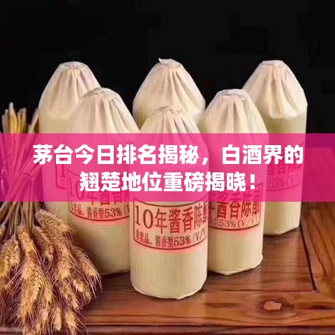 茅臺(tái)今日排名揭秘，白酒界的翹楚地位重磅揭曉！