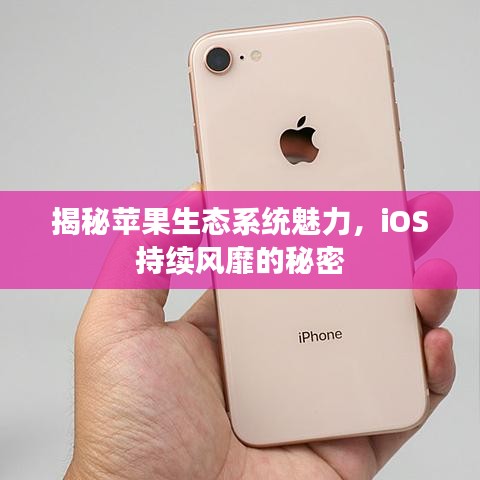 揭秘蘋果生態(tài)系統(tǒng)魅力，iOS持續(xù)風(fēng)靡的秘密