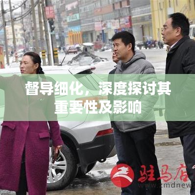 督導(dǎo)細(xì)化，深度探討其重要性及影響