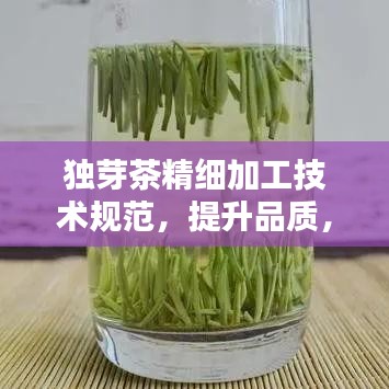 獨(dú)芽茶精細(xì)加工技術(shù)規(guī)范，提升品質(zhì)，百度收錄必備指南