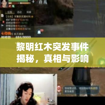黎明紅木突發(fā)事件揭秘，真相與影響探究