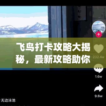 飛鳥打卡攻略大揭秘，最新攻略助你暢游天際！
