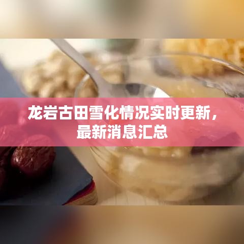 龍巖古田雪化情況實(shí)時(shí)更新，最新消息匯總