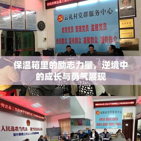 保溫箱里的勵(lì)志力量，逆境中的成長(zhǎng)與勇氣展現(xiàn)