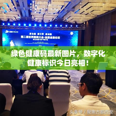 綠色健康碼最新圖片，數(shù)字化健康標(biāo)識今日亮相！