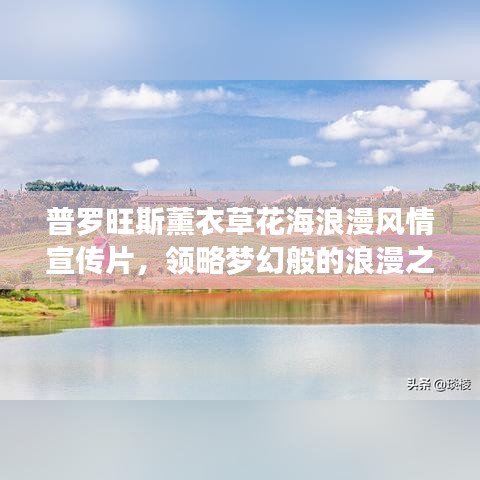 普羅旺斯薰衣草花海浪漫風(fēng)情宣傳片，領(lǐng)略夢幻般的浪漫之旅！