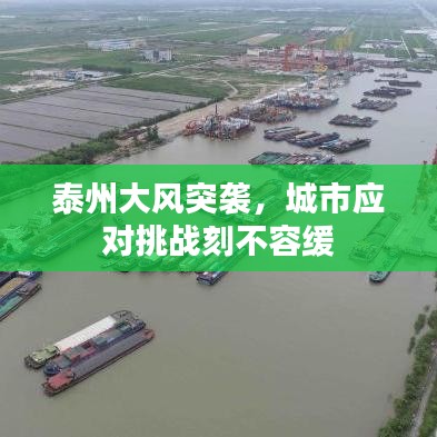 泰州大風(fēng)突襲，城市應(yīng)對挑戰(zhàn)刻不容緩