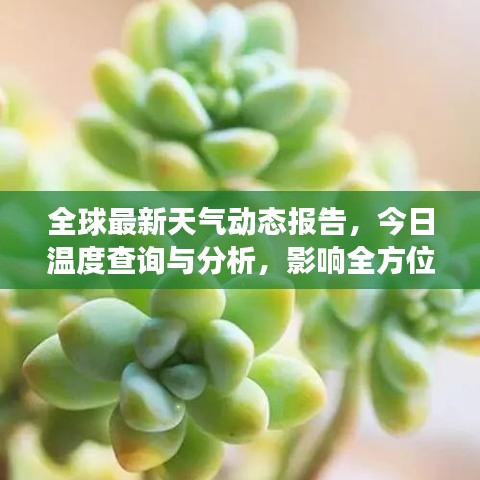 全球最新天氣動態(tài)報告，今日溫度查詢與分析，影響全方位解讀